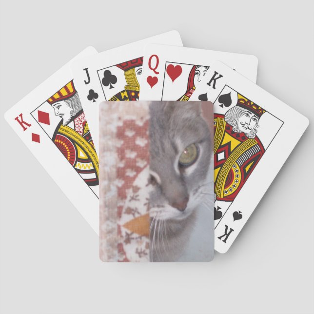 Meow Cats 13 Playing Cards (Back)