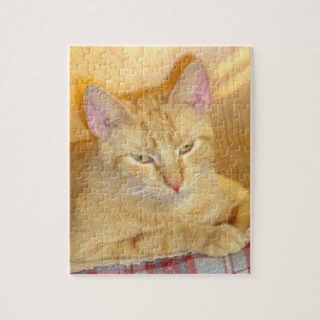 Meow Cats 15 Puzzle (Vertical)