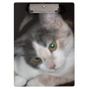 Meow Cats 17 Clipboard