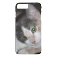 Meow Cats 17 iPhone Cases