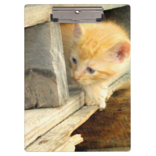 Meow Cats 1 Clipboard