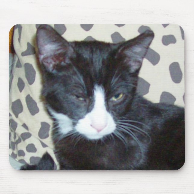 Meow Cats 20 Mousepad (Front)