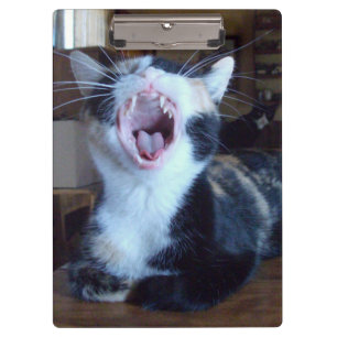 Meow Cats 30 Clipboard