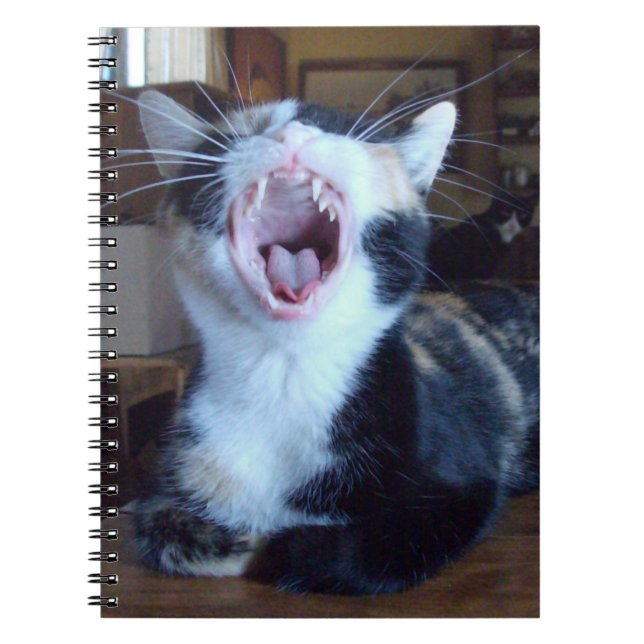Meow Cats 30 Notebook (Front)