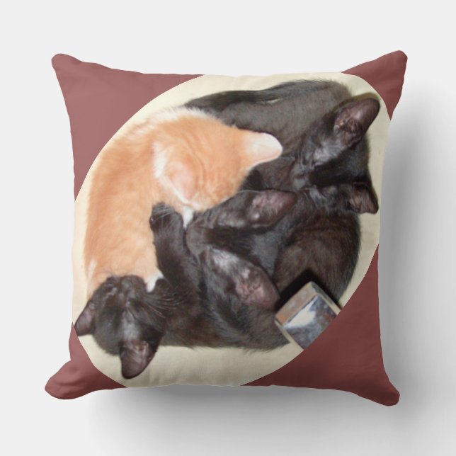 Meow Cats 37 Square Throw Pillow (Front)