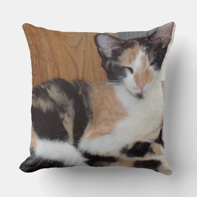 Meow Cats 39 Square Throw Pillow (Front)
