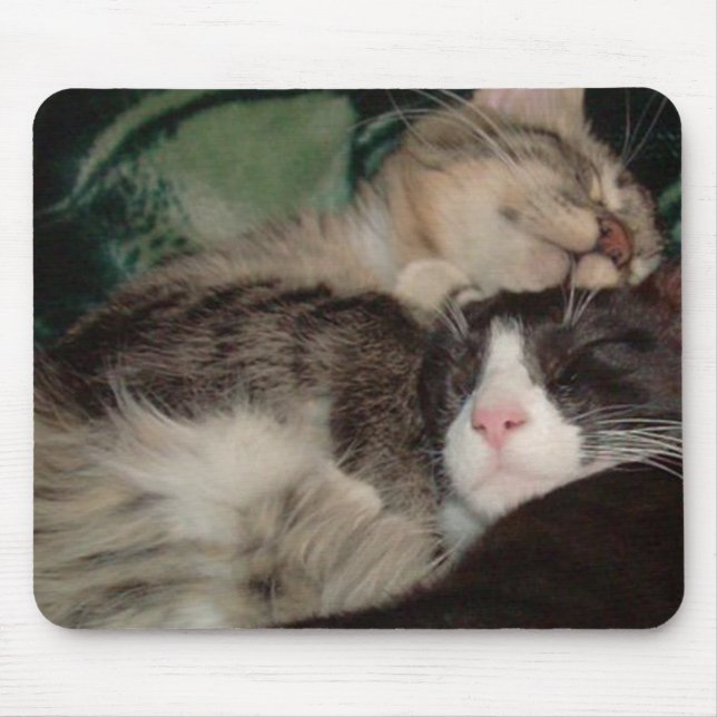 Meow Cats 3 Mousepad (Front)