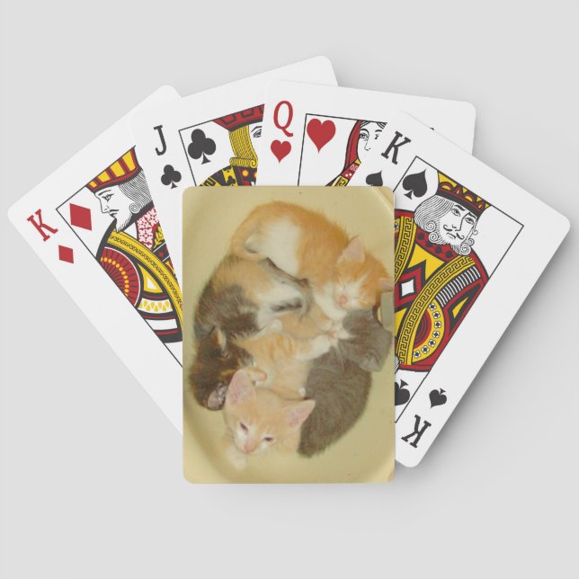 Meow Cats 4 Playing Cards (Back)