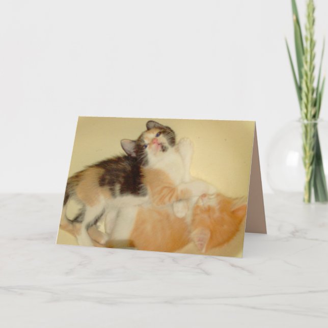 Meow Cats 5 Greeting Card (Front)