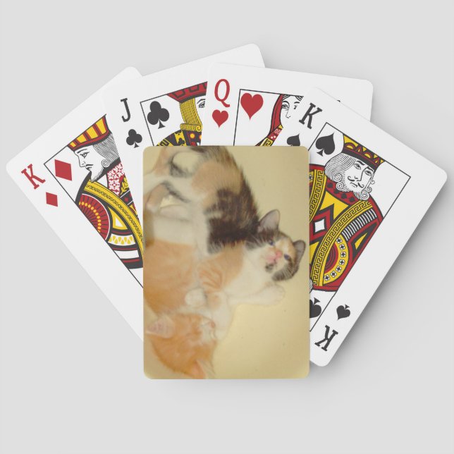 Meow Cats 5 Playing Cards (Back)