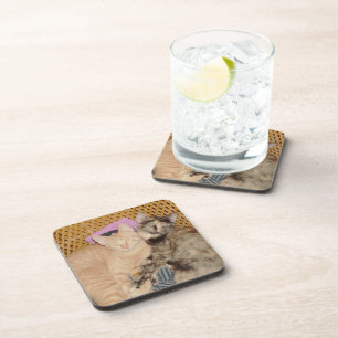 Meow Cats 6 Coaster Set