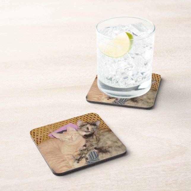Meow Cats 6 Coaster Set (Right Side)