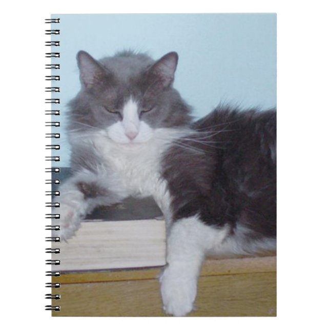 Meow Cats 9 Notebook (Front)