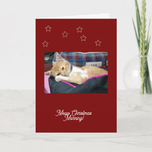 Meow Christmas ,photo, text, replacable Holiday Card