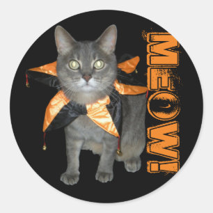 Meow Costume Cat Classic Round Sticker
