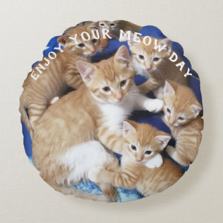 Meow Day Cat Photo Round Pillow