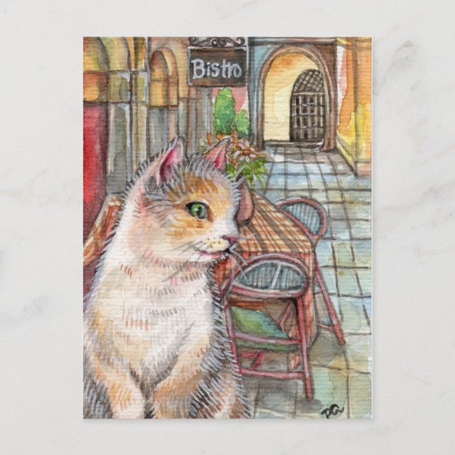 Meow in Front of Bistro Postcard (Front)