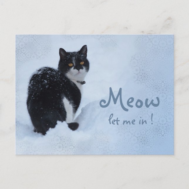 Meow Let me in! CC0826 Cat thoughts Postcard (Front)