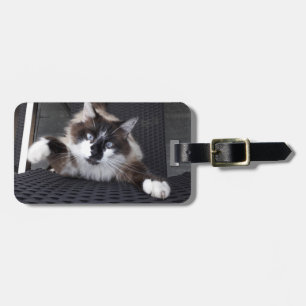 Meow! - luggage tag