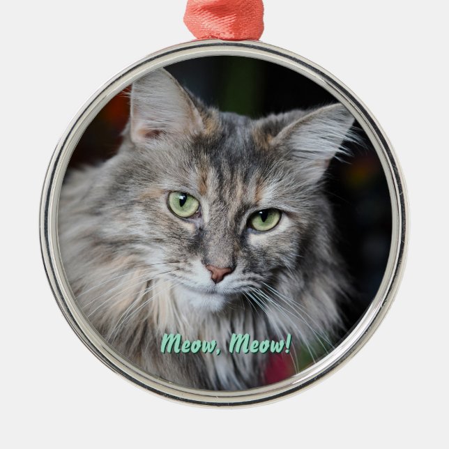Meow Meow Cat Portrait Metal Ornament (Front)