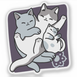 Meow Pounce Snuggle – Cute Sleeping Cats