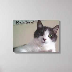 Meow there Gorgeous Cat Portrait Canvas Print