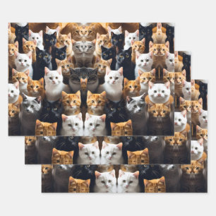 Meow Wrapping Paper Sheet