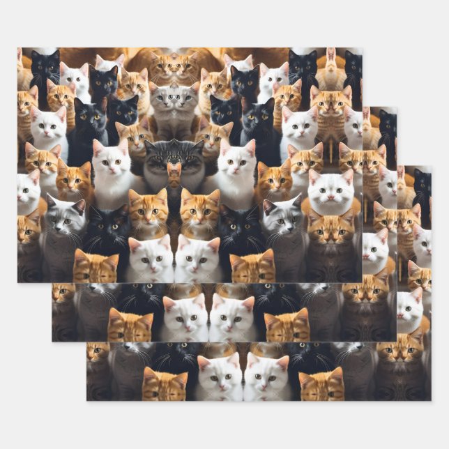 Meow Wrapping Paper Sheet (Set)