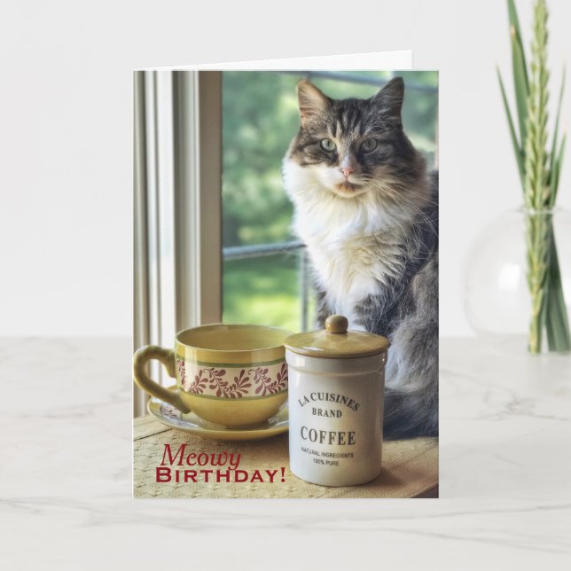 Meowvelous You Carte Anniversaire (Devant)