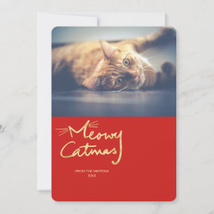 Meowy Catmas Gold Funny Chat Carte photo de Noël