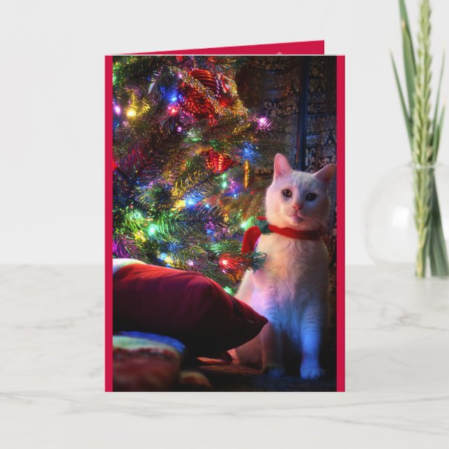 Meowy Catmas Greeting Card (Front)