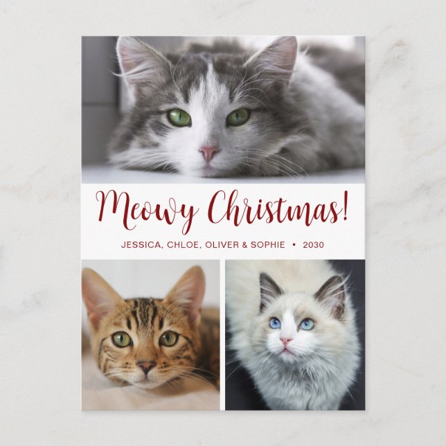 Meowy Christmas 3 Photo Holiday Postcard (Front)