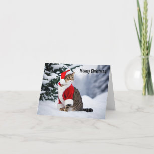 Meowy Christmas Card