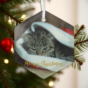 Meowy Christmas Cat Glass Ornament