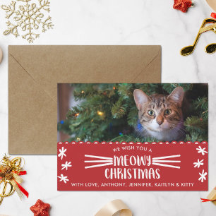 Meowy Christmas   Cat Holiday Photo
