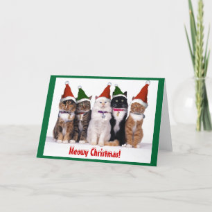 "Meowy Christmas!" Cats Holiday Card