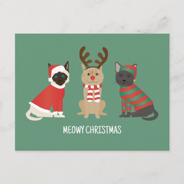 Meowy Christmas Cats Postcard (Front)