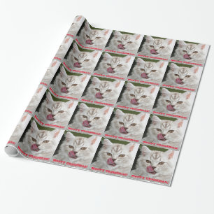 Meowy Christmas Cute, Funny Kitten Wrapping Paper