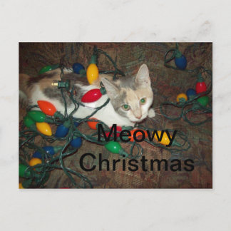 Meowy Christmas Holiday Postcard