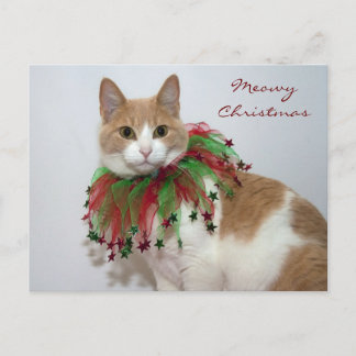 Meowy Christmas Holiday Postcard