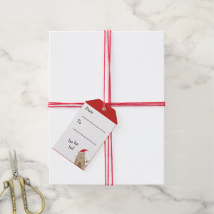 Meowy Christmas santa cat personalized name Gift Tags