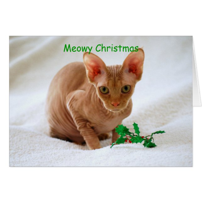 Meowy Christmas Sphinx Cat (Front Horizontal)