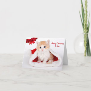 Meowy Christmas to You Cute Cat in Santa Hat Card