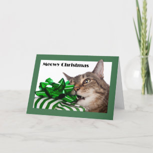 Meowy (Merry) Christmas Cute Cat With Present Holiday Card
