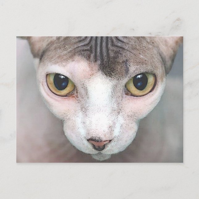 Mephisto Postcard (Front)