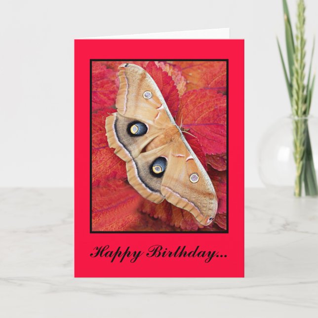 MePrintPolyPhemusa, Happy Birthday... - Customized Card (Front)