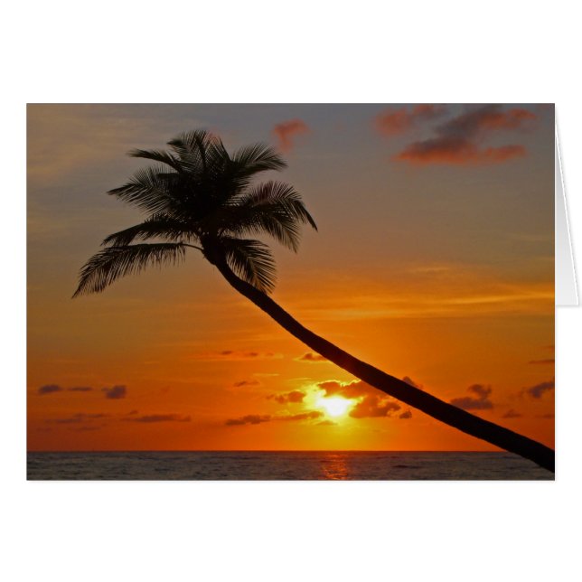 Mer (Devant horizontal)