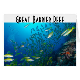 Mer de corail de la Grande barrière de corail de