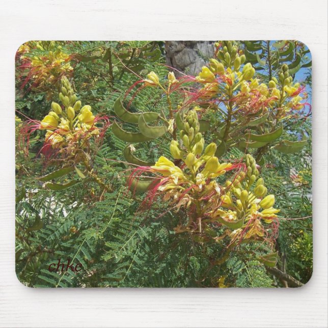 Merak Mouse Pad (Front)