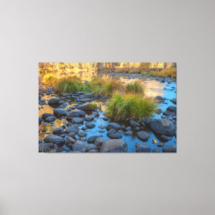 Merced Riverbed  Canvas Print